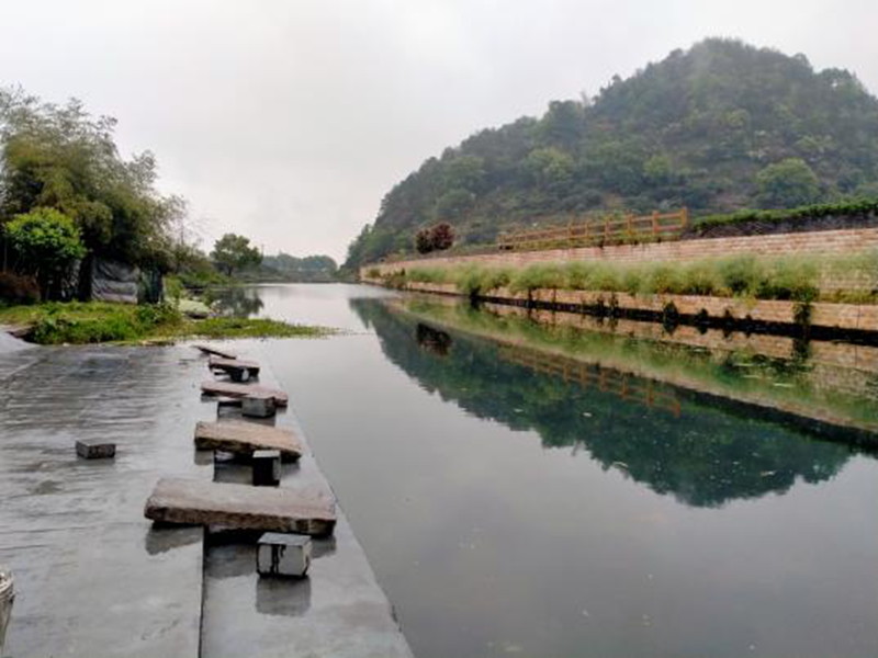 縱身一躍！金誠汽車員工勇救落水兒童