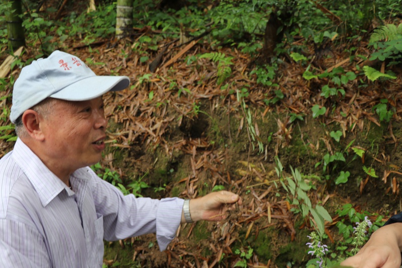 1622015416579398.jpg c0412fc9-dd49-4fd9-b749-e970adc19950_副本.jpg