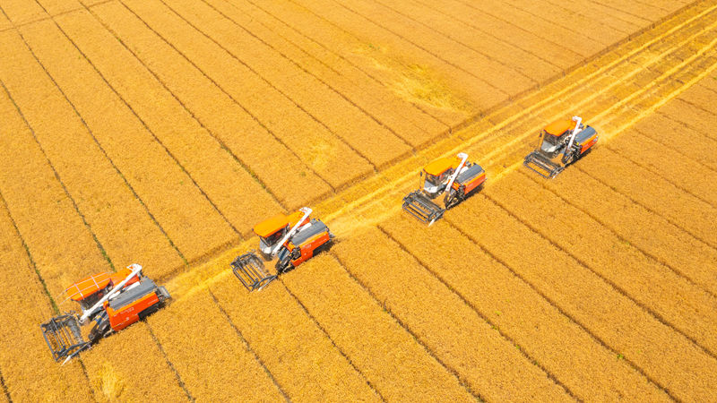 《朝聞天下》《浙江新聞聯(lián)播》關(guān)注嘉善浙農(nóng)耘糧油未來農(nóng)場(chǎng)秋糧收儲(chǔ)工作