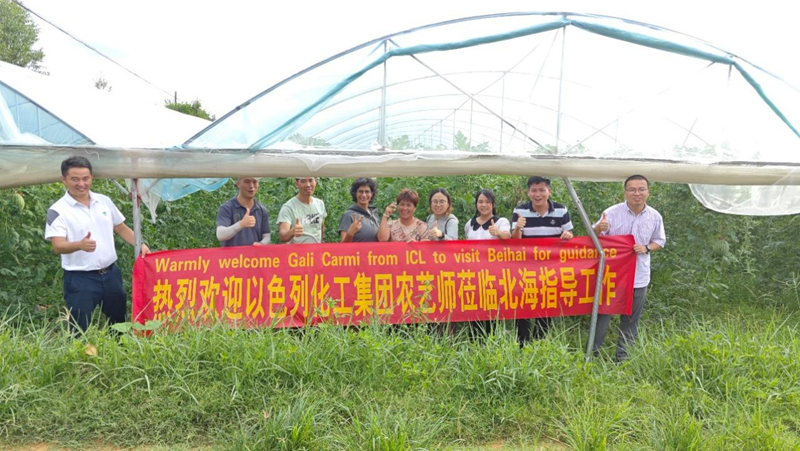 時(shí)令瓜果正當(dāng)季 技術(shù)服務(wù)到田間&mdash;&mdash;愛(ài)普科技攜手以色列農(nóng)藝師助力瓜農(nóng)穩(wěn)產(chǎn)增收